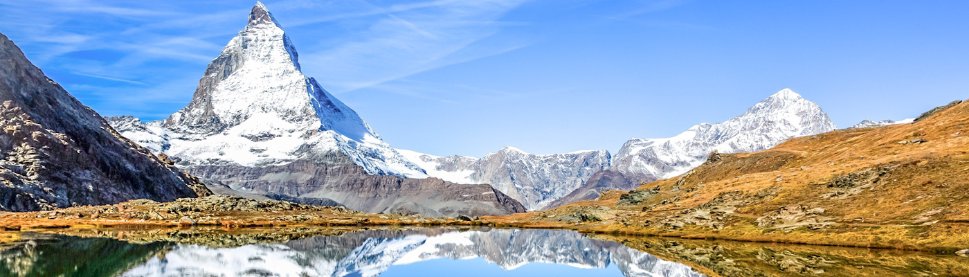 株式会社ヘルヴェチア|会社概要